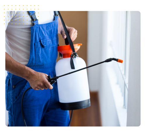 2-Jan-12-2026-08-08-17-3088-PM